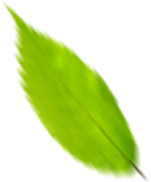 rev_home37_01.png